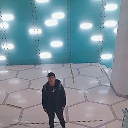 ���, ������, 41 ���