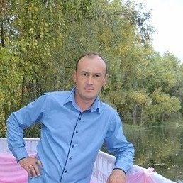 ������, ��������, 48 ���