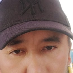 , , 43 