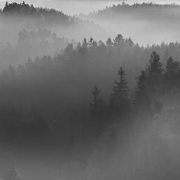 Yana, ������, 25 ���