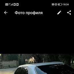 ����, �����-���������, 41 ���