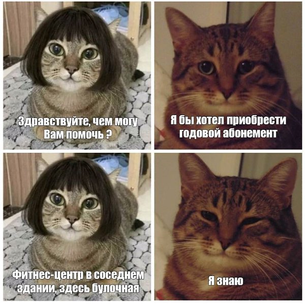    - 27  2023  17:16