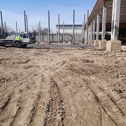 �������, �����, 54 ����