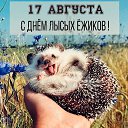 ���� ���������, ������ �������� - ��������� 30 ������� 2023 � ������ ���� ����������