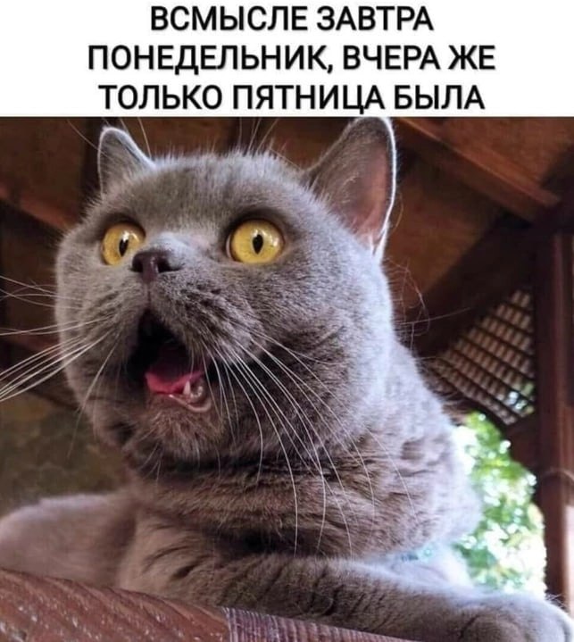 ....  