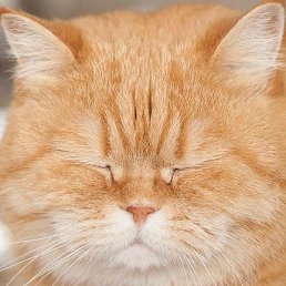 ���� ������, ������, 24 ���� - ��������� 31 ����� 2023