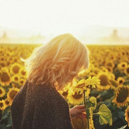 ���������, ������-���, 43 ����