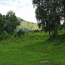 ���� ��������, ������, 71 ��� - ��������� 5 ���� 2023