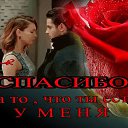 ���� ����, ������, 36 ��� - ��������� 3 ��� 2023