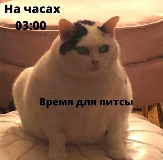 : ,        25?  :