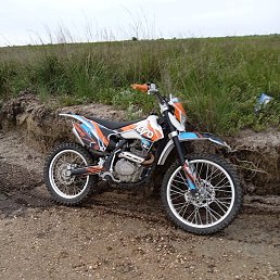 ��������, ����, 41 ���