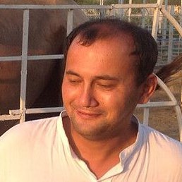 ���, ������, 41 ���