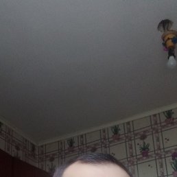 ���� �����, ��������, 51 ��� - ��������� 5 ����� 2023