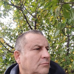 ����, ������, 61 ���