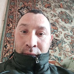 �����, ������, 38 ���