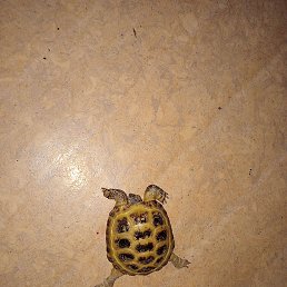 ���� �������, ������, 34 ���� - ��������� 19 ���� 2023