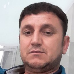 ����, ������, 39 ���