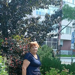 �������, �������, 67 ���