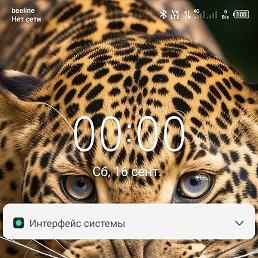 ����, �������, 46 ���