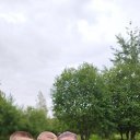 ���� ����������, �����, 40 ��� - ��������� 12 ������� 2023 � ������ ���� ����������