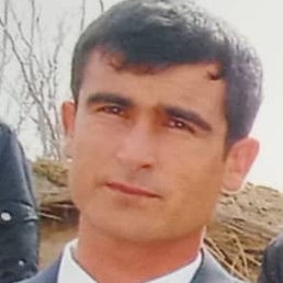 ������, ������, 37 ���