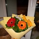 ���� ����, �����������, 36 ��� - ��������� 28 �������� 2023 � ������ ���� ����������