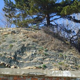 �������, ������-��-����, 62 ����