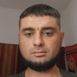 Grisa, �������, 31 ���