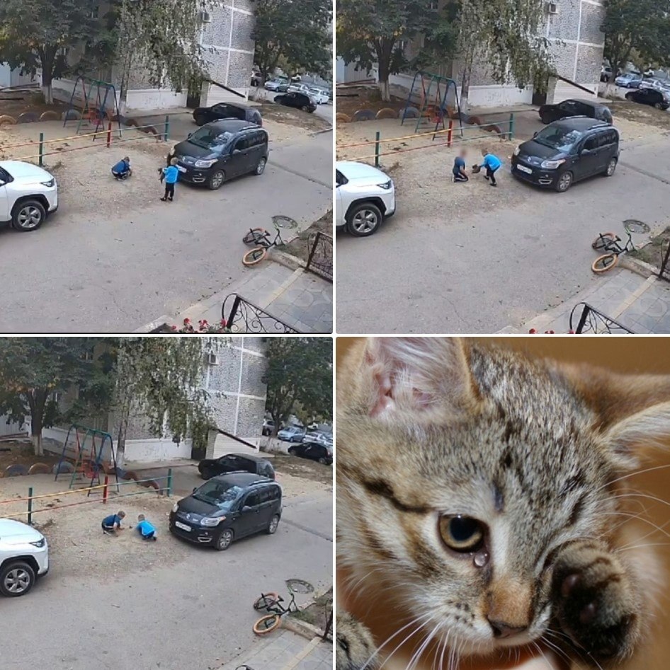           .  ,   ...