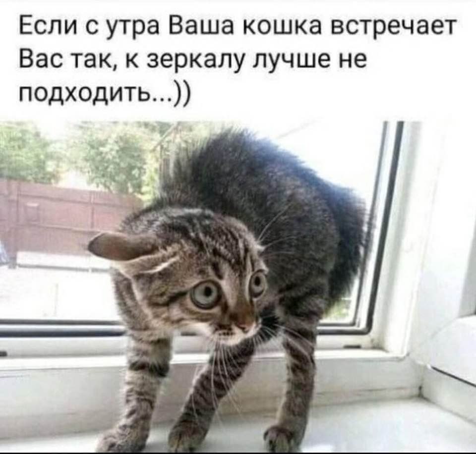   - 26  2023  08:52