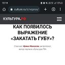 ���� ����, �����-���������, 40 ��� - ��������� 3 ��� 2023