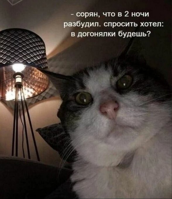  - 11  2023  19:35