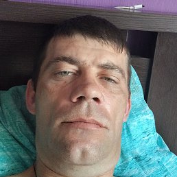 ������, ������, 41 ���