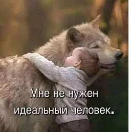 ���� ������, �������, 41 ��� - ��������� 23 ���� 2023