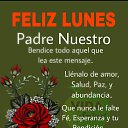 ���� Jos, �����-�������, 36 ��� - ��������� 31 ������� 2023