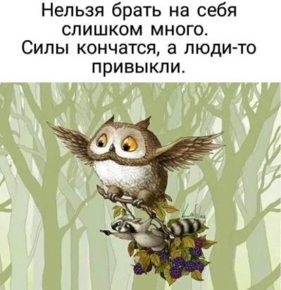 �������� - 5 ���� 2023 � 06:46
