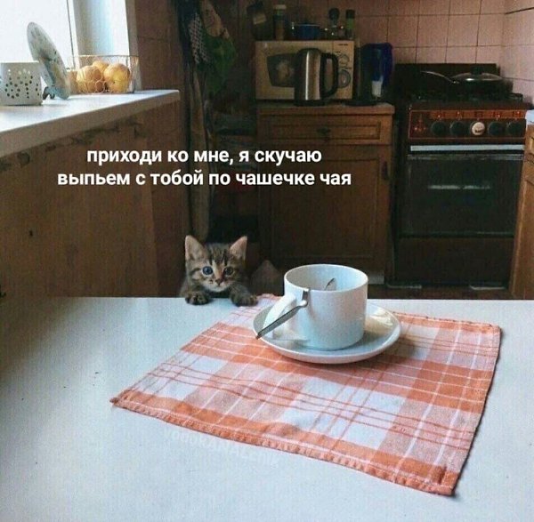 ��� �������� �������� - 2 �������� 2023 � 13:34