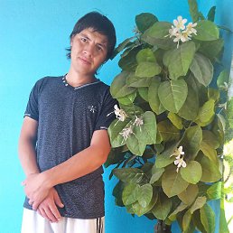 Marat, ��������, 27 ���