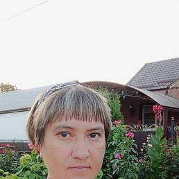 ����, 37 ���, ���������