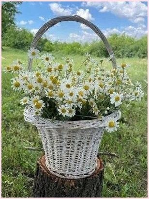 Handmade Club | ���� ��������.�����y�� - 5