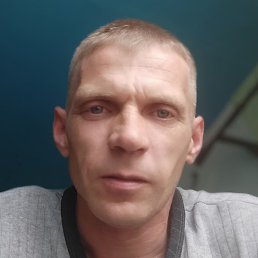 ������, �������, 41 ���