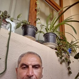 ���� ����, ����, 53 ���� - ��������� 4 �������� 2023