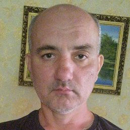 �������, ����, 49 ���