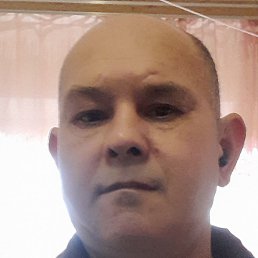 �����, ������, 51 ���