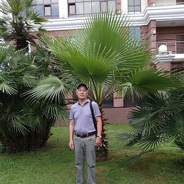 �����, ���������� �����, 65 ���