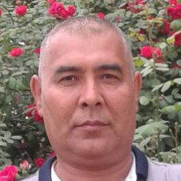 ������, �����, 54 ����