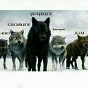 ���� ������, �����, 34 ���� - ��������� 6 ����� 2023