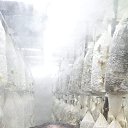 ���� ������, �������, 62 ���� - ��������� 24 ������ 2023 � ������ ���� ����������