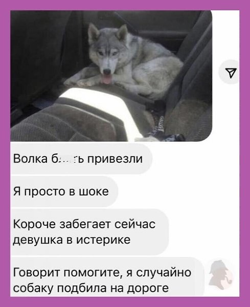 ***Victoria Viktorovna*** - 19  2023  16:14