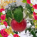 ���� ���������, ������, 90 ��� - ��������� 9 ���� 2023